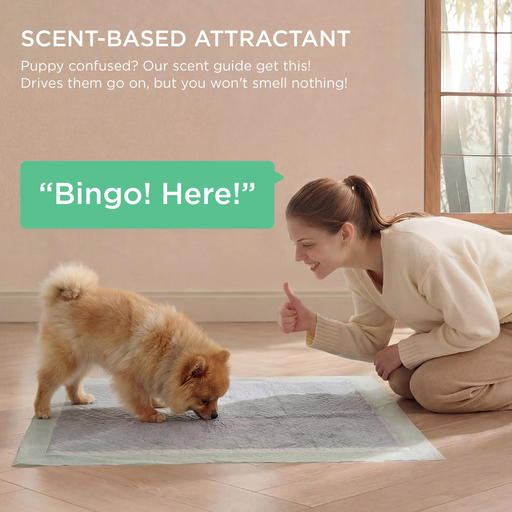 Bedsure pad features scent attractant for potty training