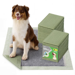 Bedsure extra large dog pee pad showing wide coverage for crate use and training