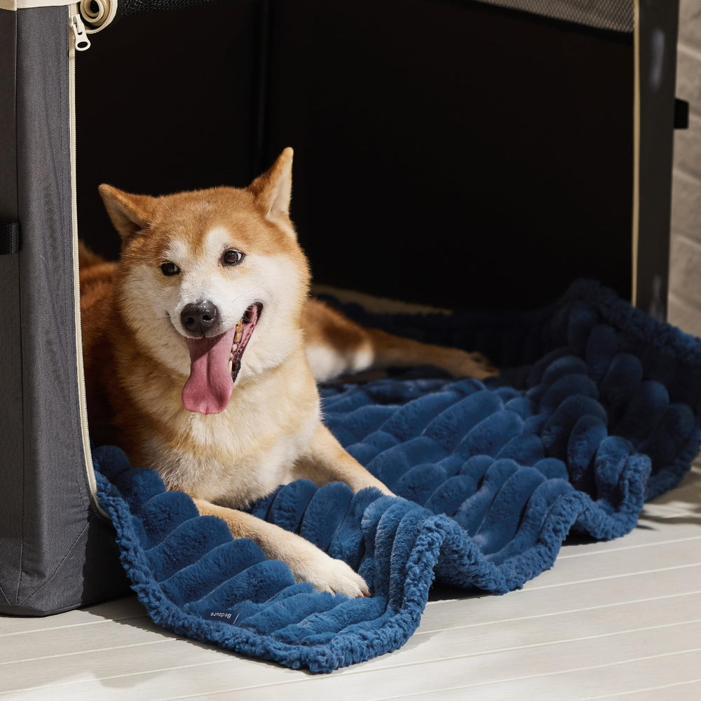 Bedsure pet blanket travels easily for trips to beach or hotel