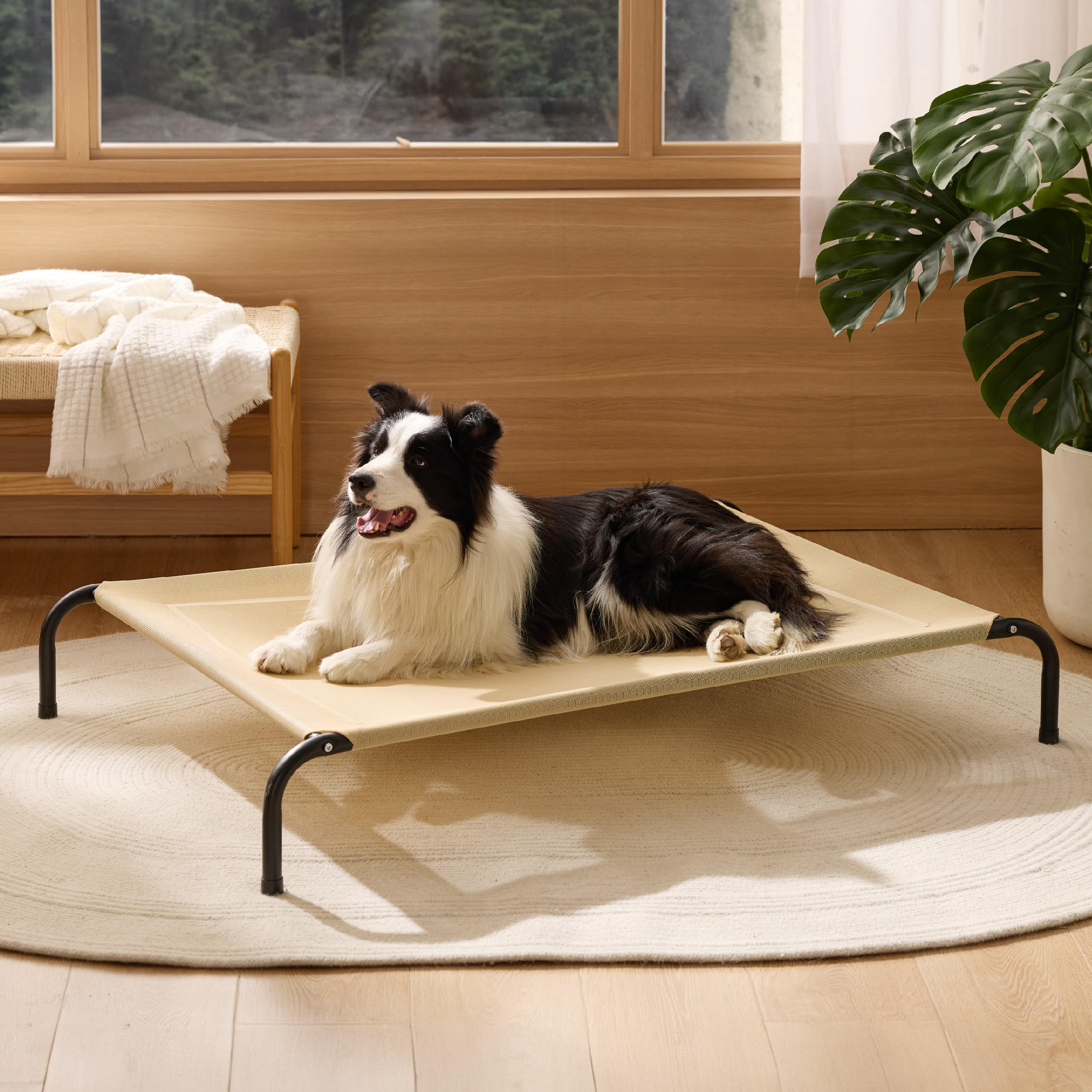 Bedsure raised design supports older dogs with easy access.