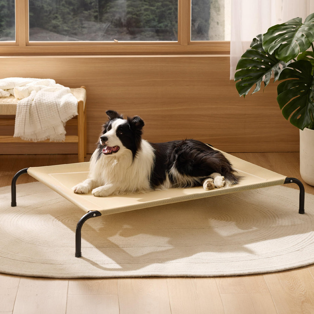 Bedsure raised design supports older dogs with easy access.