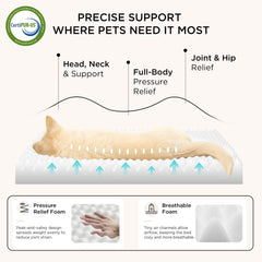 Bedsure large dog bed soft sherpa fabric delivers cloud-like warmth