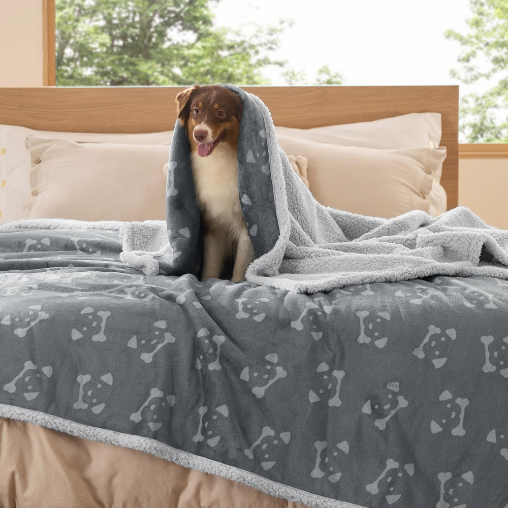 Bedsure lifestyle pet blanket in anchor gray complements modern interiors