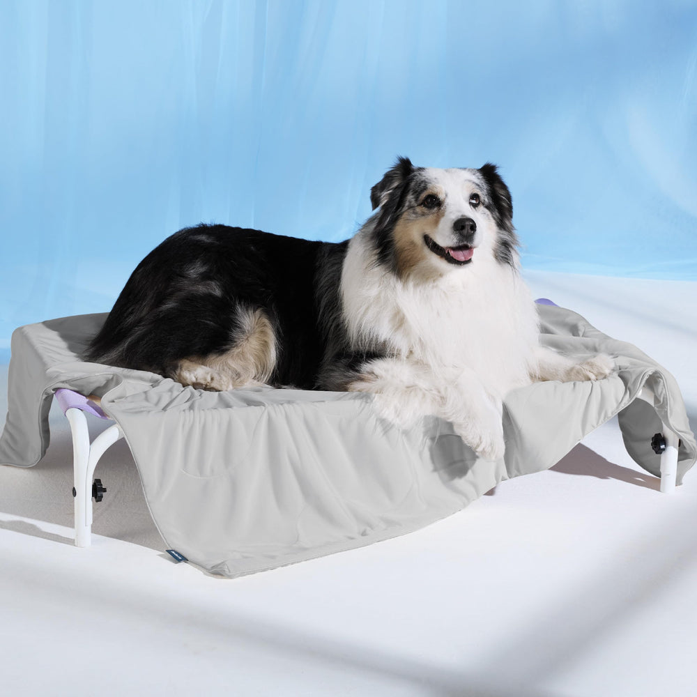 Bedsure lightweight summer blanket for dogs offers cool comfort on the go.