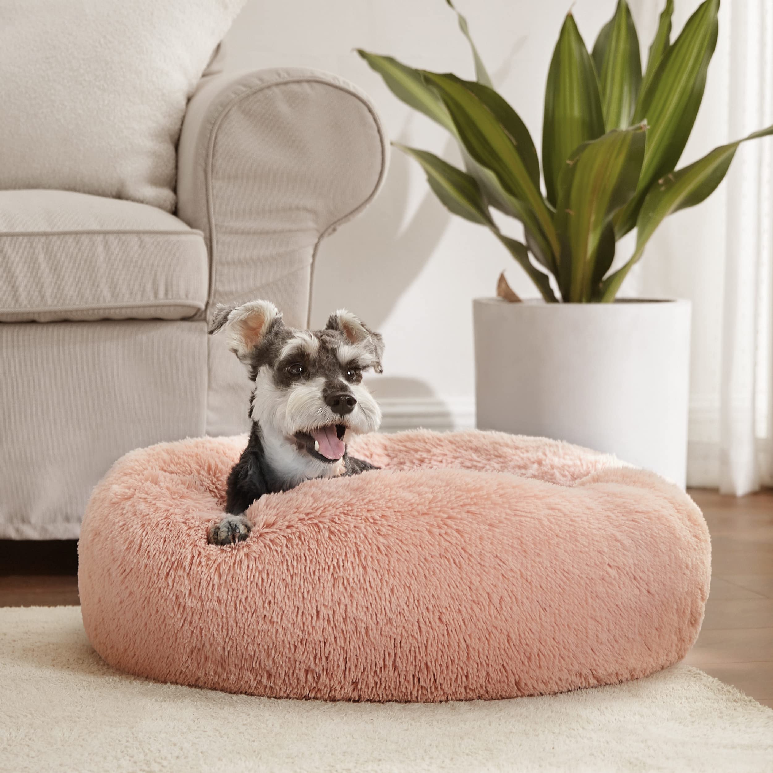 Bedsure OEKO-TEX certified materials ensure pet-safe comfort.
