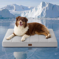 Bedsure orthopedic cooling dog bed with a cool top surface for hot days.