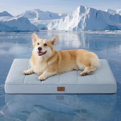 Bedsure orthopedic cooling dog bed, crate top view, cool surface for comfortable rest