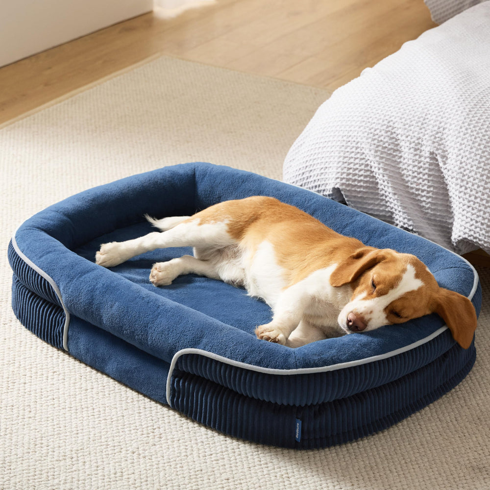 Bedsure orthopedic dog bed with foam balance for joint-friendly support