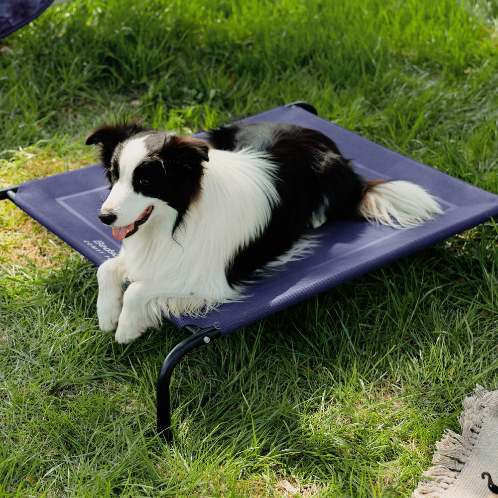 Bedsure blue frame supports joint-friendly resting on a raised mesh cot