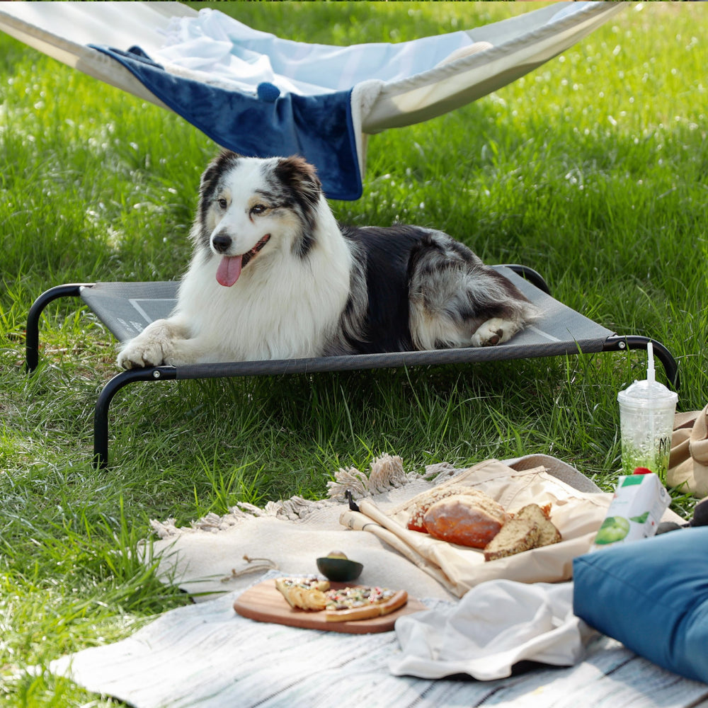 Bedsure lightweight portable design ideal for travel and camping
