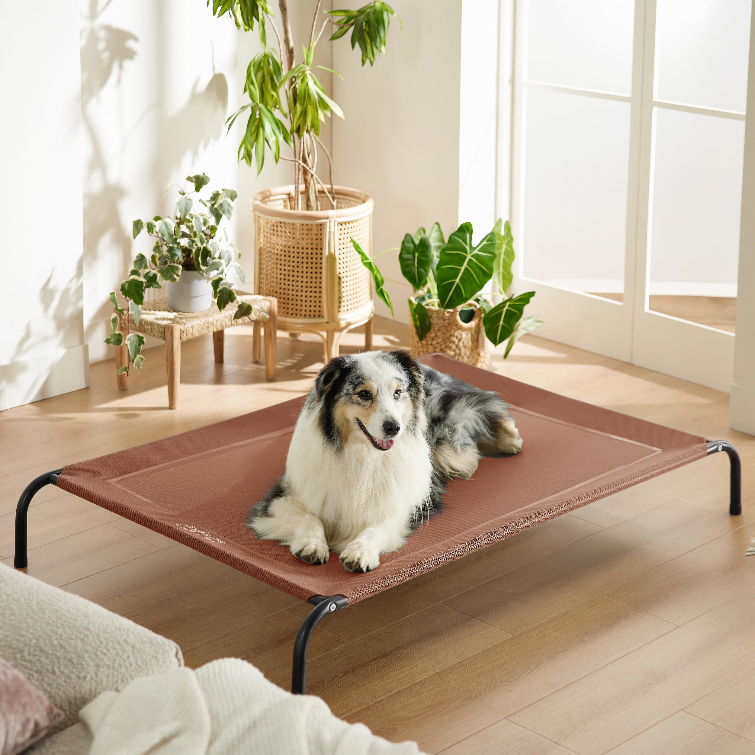 Bedsure Outdoor Elevated XL Dog Bed easy-assembly for portable use