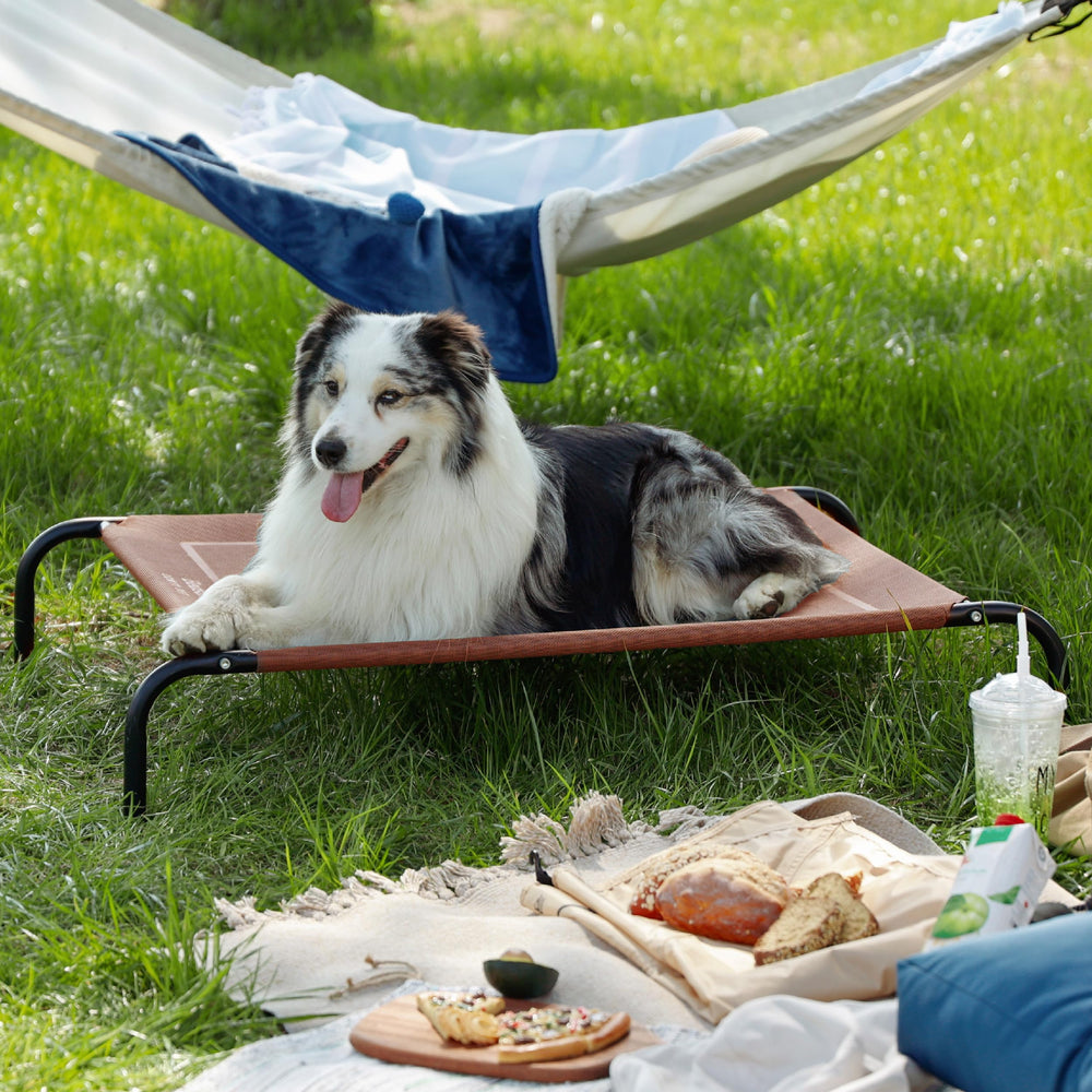 Bedsure Outdoor Elevated XL Dog Bed mesh-frame stays cool and breathable