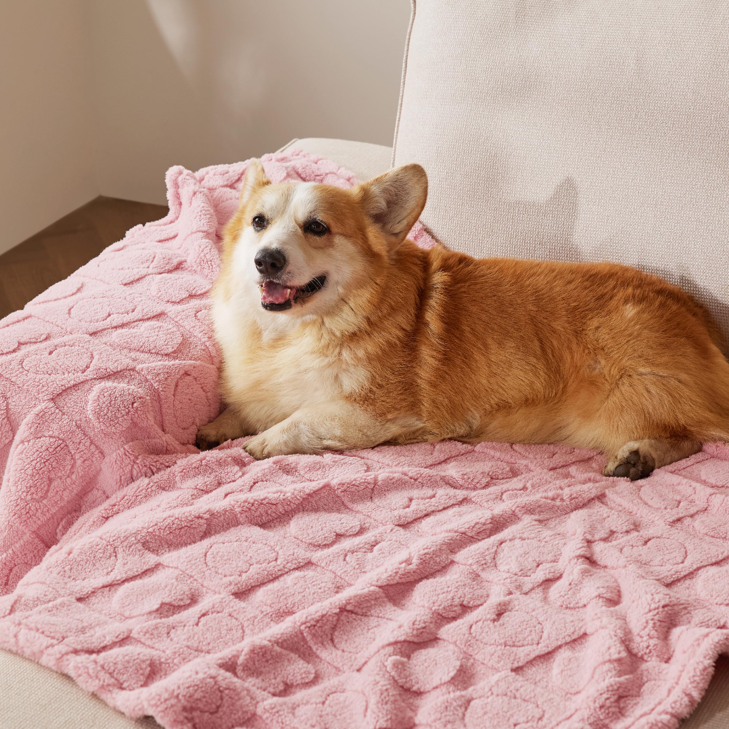 Bedsure pet blanket tested safe for pets and peace of mind.