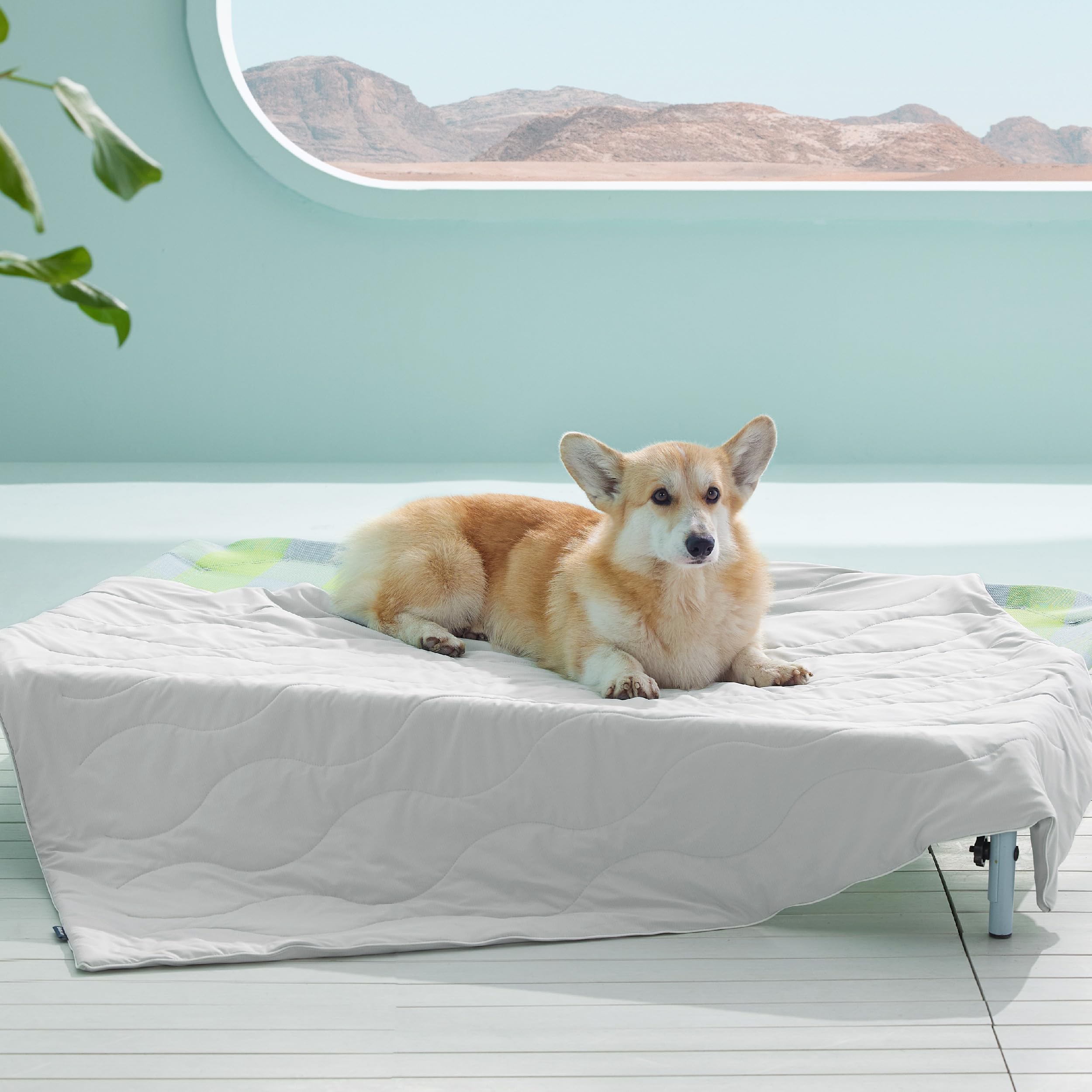 Bedsure cooling blanket on sofa cools pets during lounge time.