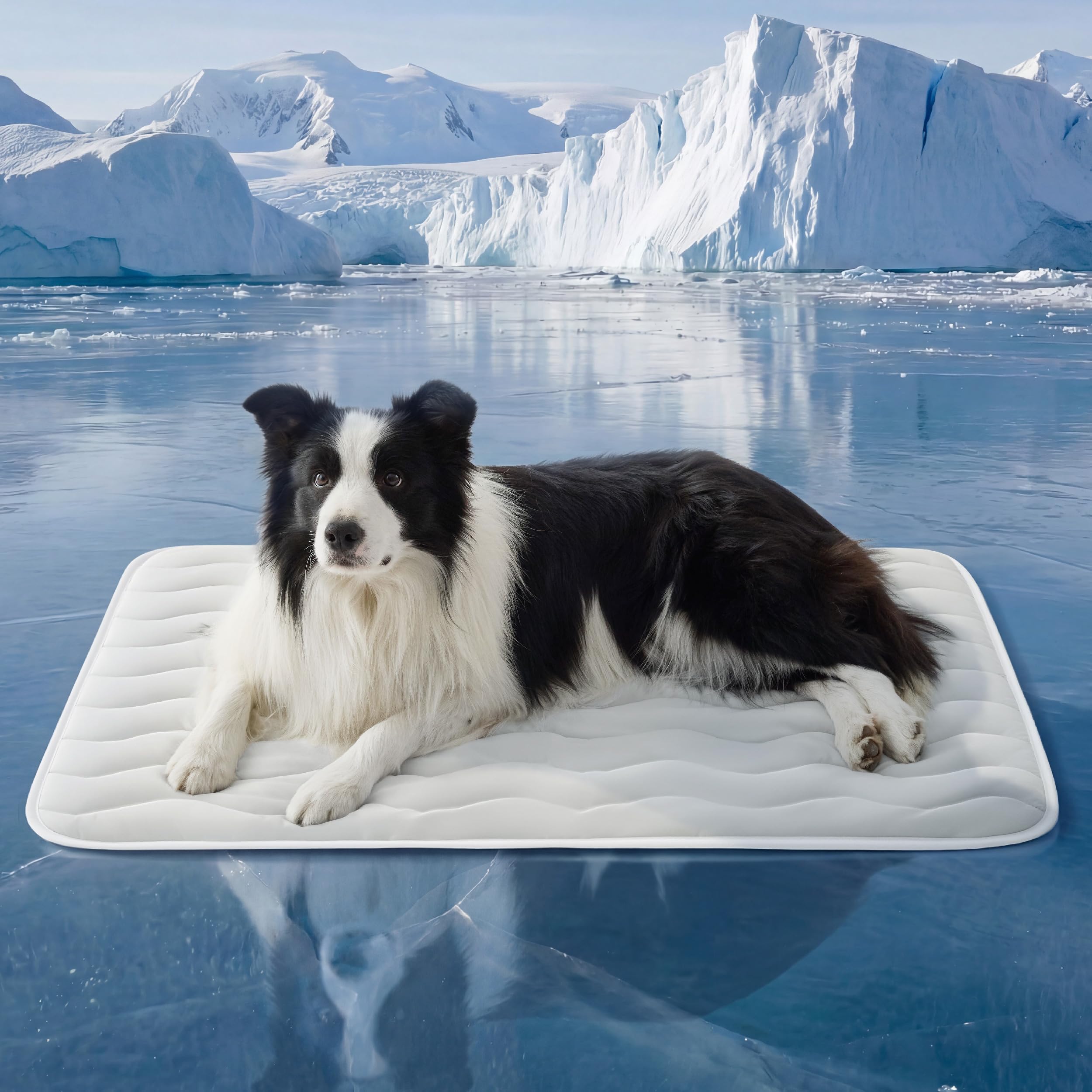 Bedsure cooling dog mat front view showing instant cooling on contact for hot days.