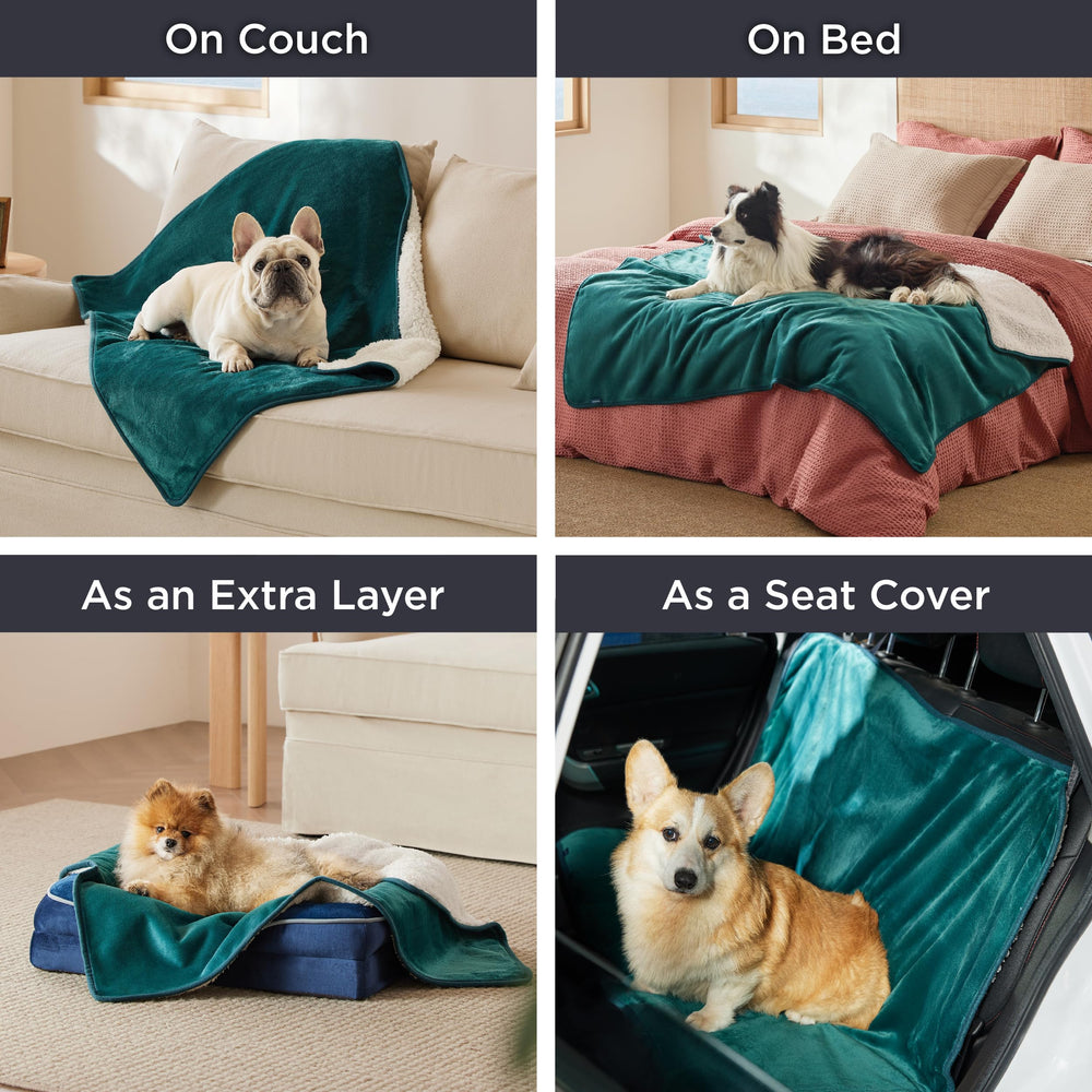 Bedsure queen-size blanket in green suits beds, sofas, and crates.