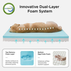 Bedsure removable washable cover provides easy cleaning after muddy pawprints and pet spills.