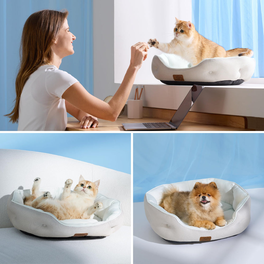 Bedsure round 25-inch bed fits small dogs and kittens snugly