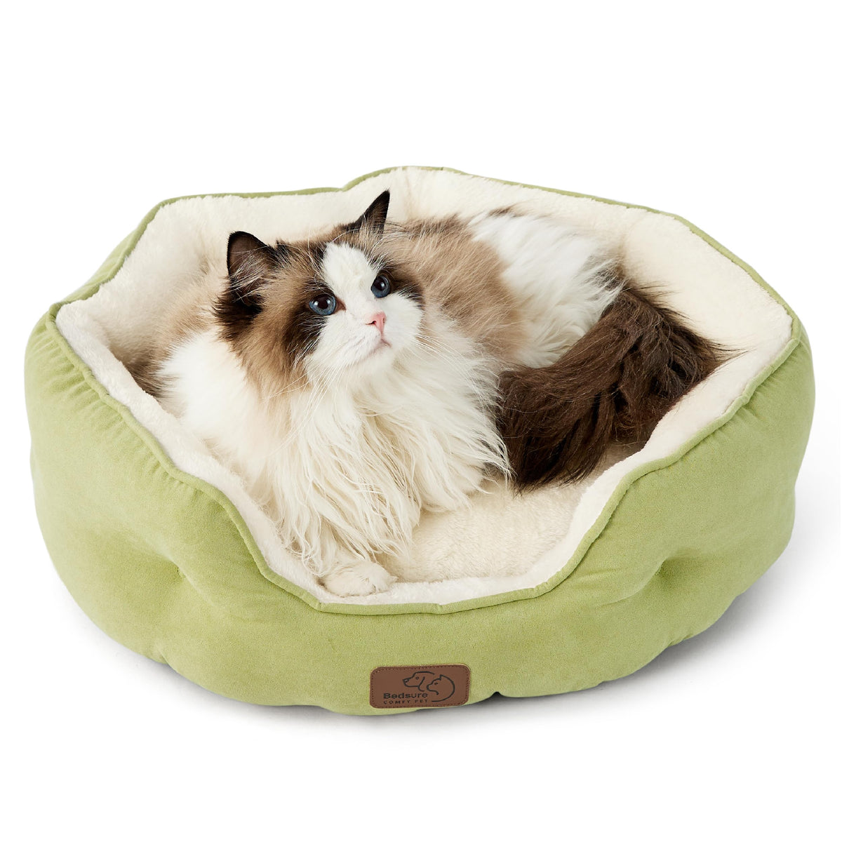 Bedsure round pet bed in pale bean green with cozy round shape for small pets