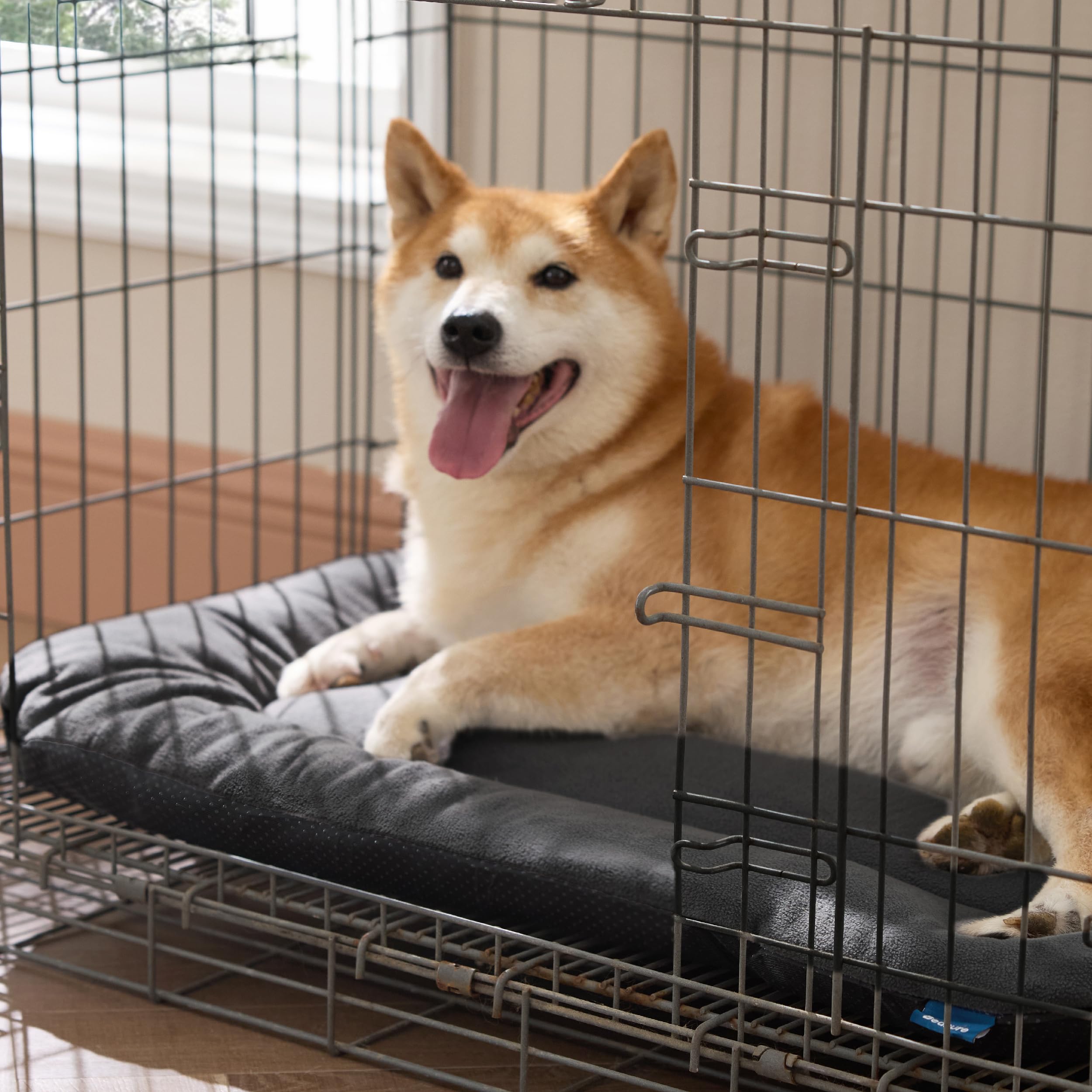 Bedsure secure-fit flat design keeps the pad flat as pets move.