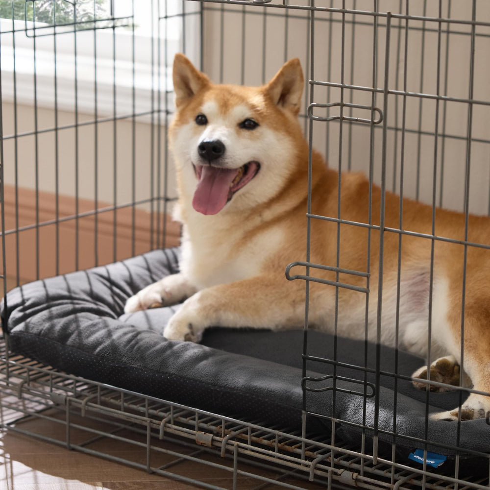 Bedsure secure-fit flat design keeps the pad flat as pets move.