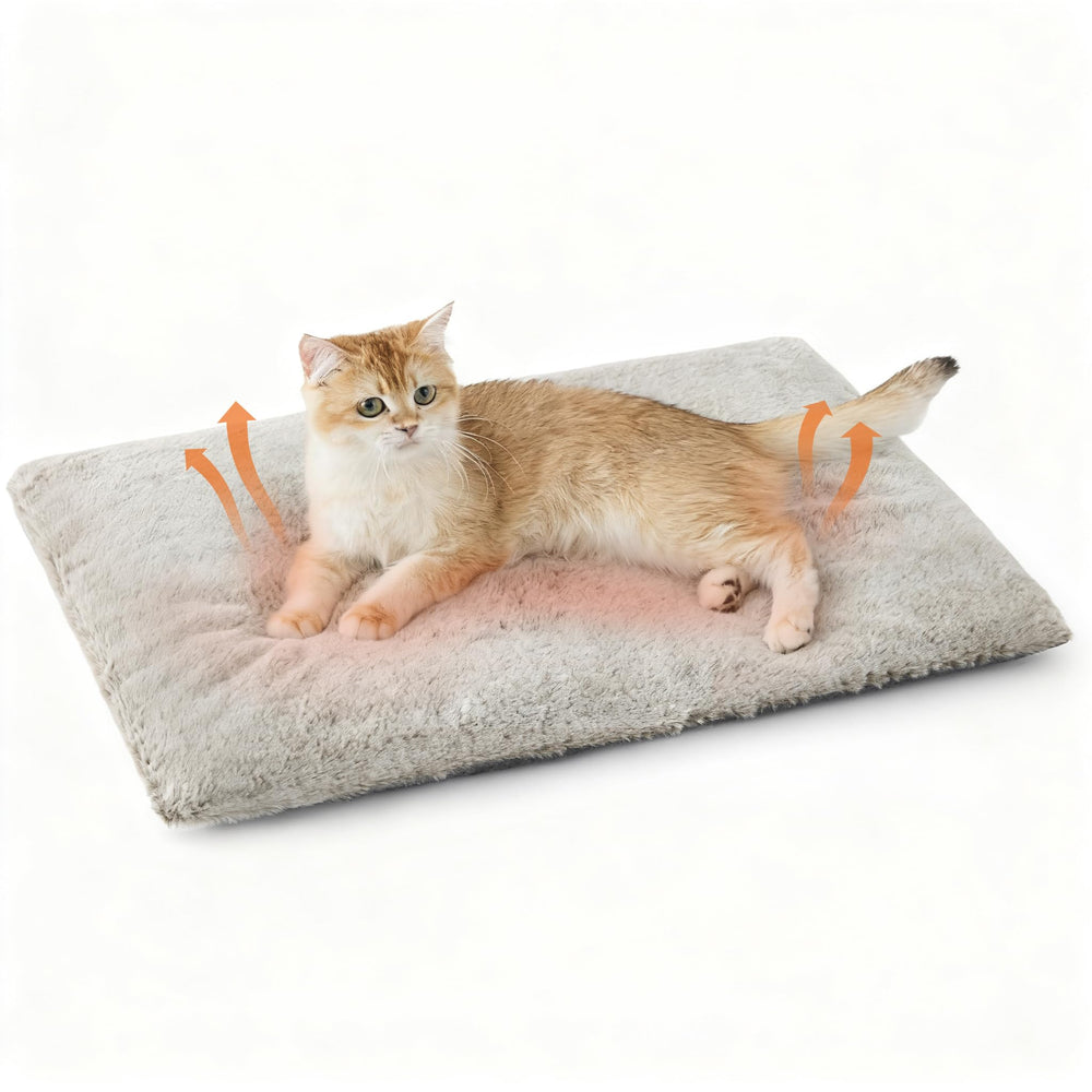Bedsure self-warming cat bed cover closeup reveals plush warmth and cozy texture