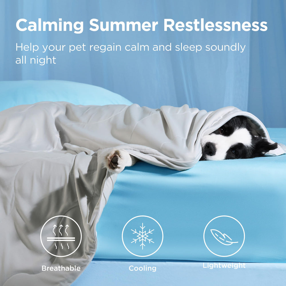 Bedsure silky-soft texture blanket reduces friction for delicate coats and sensitive skin.