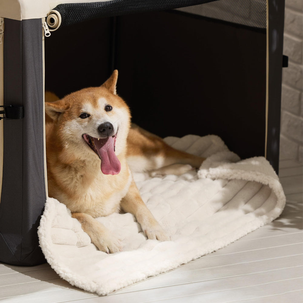 Bedsure calming warm blanket suitable for large dogs during naps