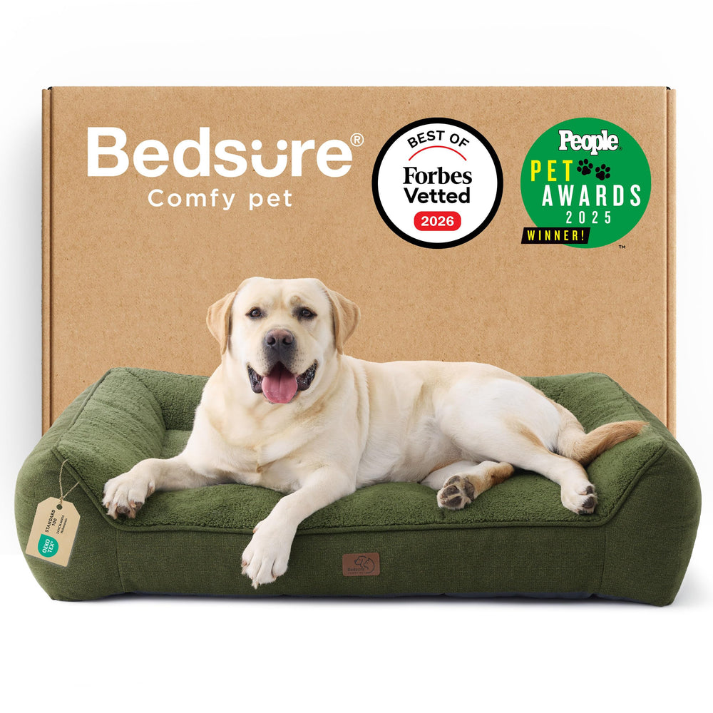 Bedsure SupportMax XL Pro orthopedic dog bed with a plush cover for joint-friendly support.