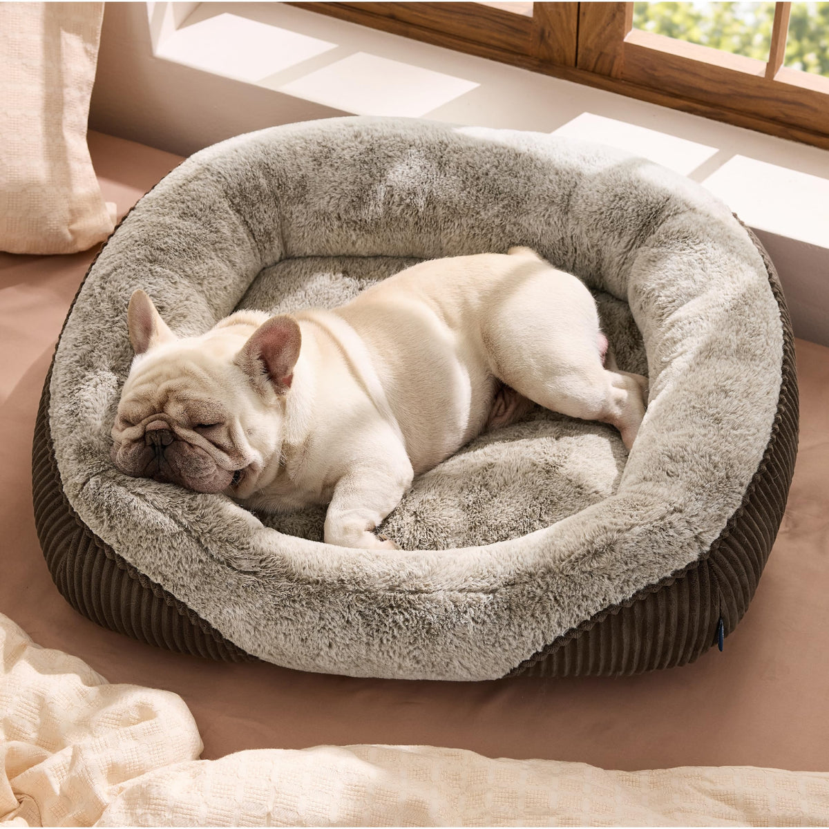 Bedsure washable dog bed plush top close-up, inviting cozy naps.