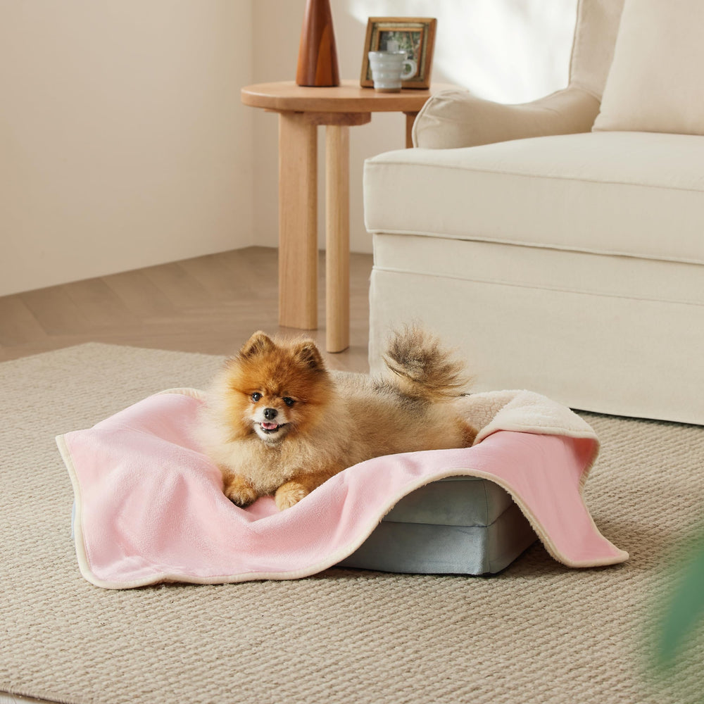 Bedsure washable dog blanket small dogs laid flat for easy care