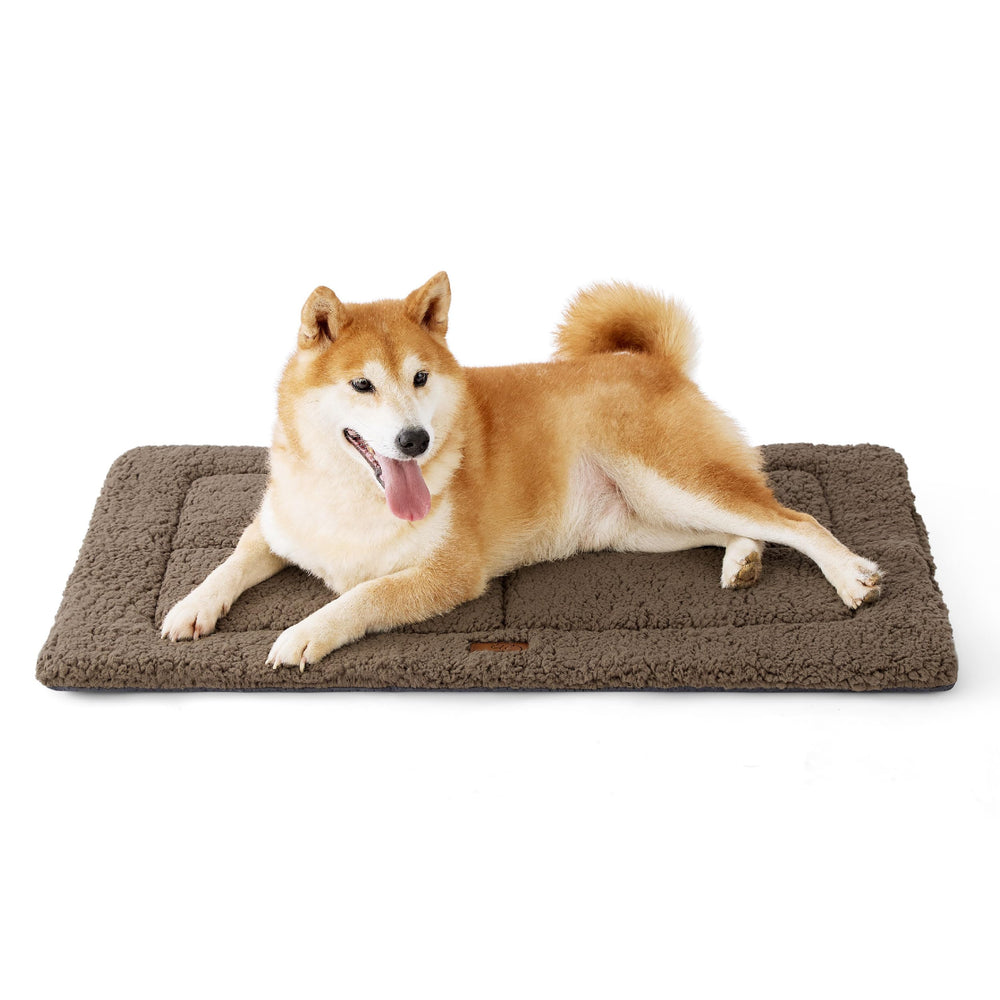 Bedsure washable dog crate bed for large dogs with soft foam floor for comfort.