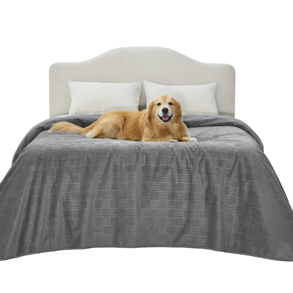 Bedsure waterproof bed cover guards sofa from spills and accidents