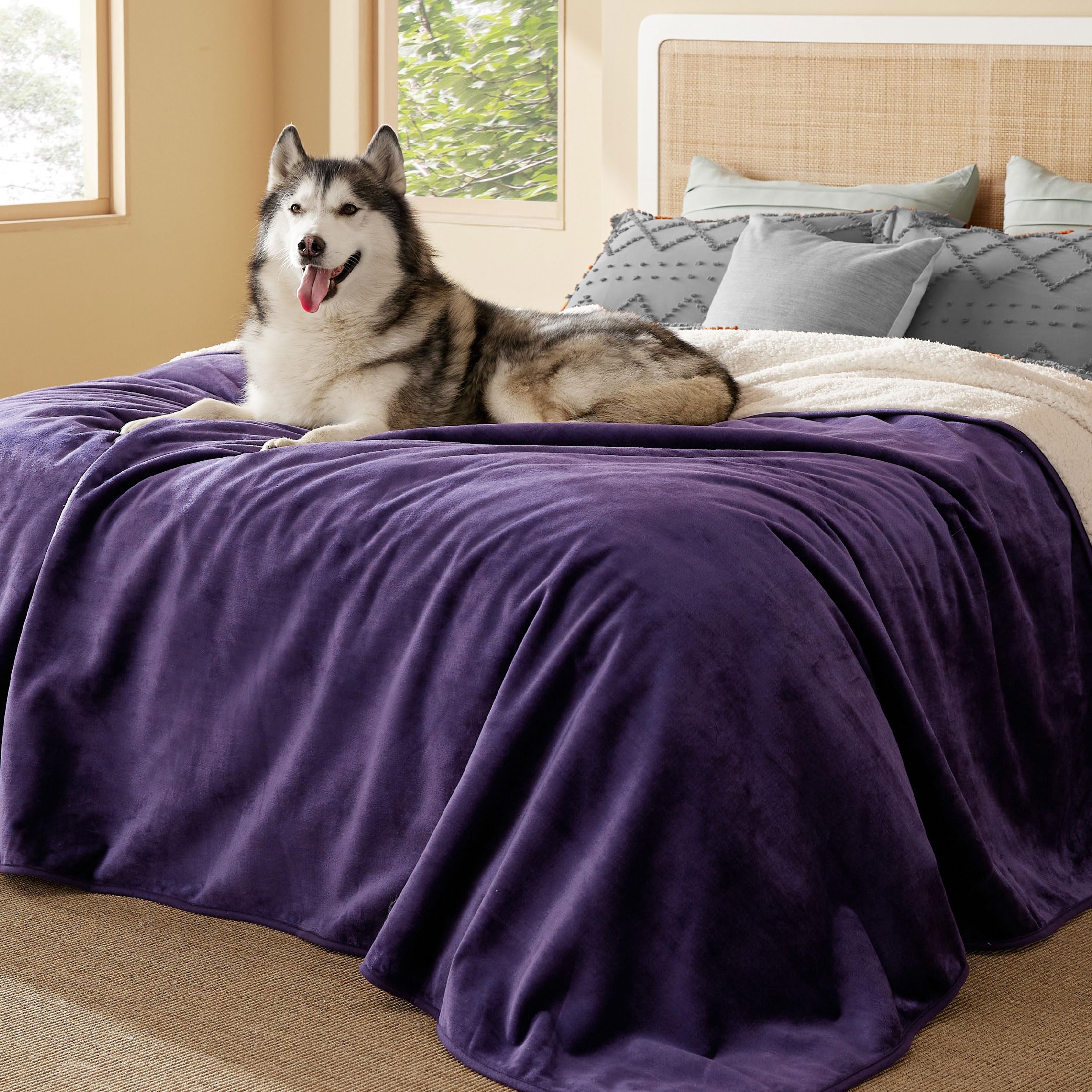 Bedsure waterproof blanket on bed with Sherpa side for warmth.