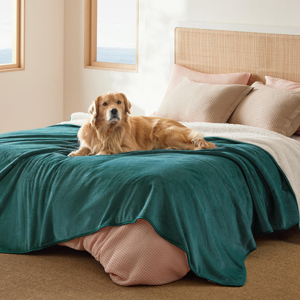 Bedsure waterproof blanket on bed shows Sherpa warmth and protective layering for cozy nights.