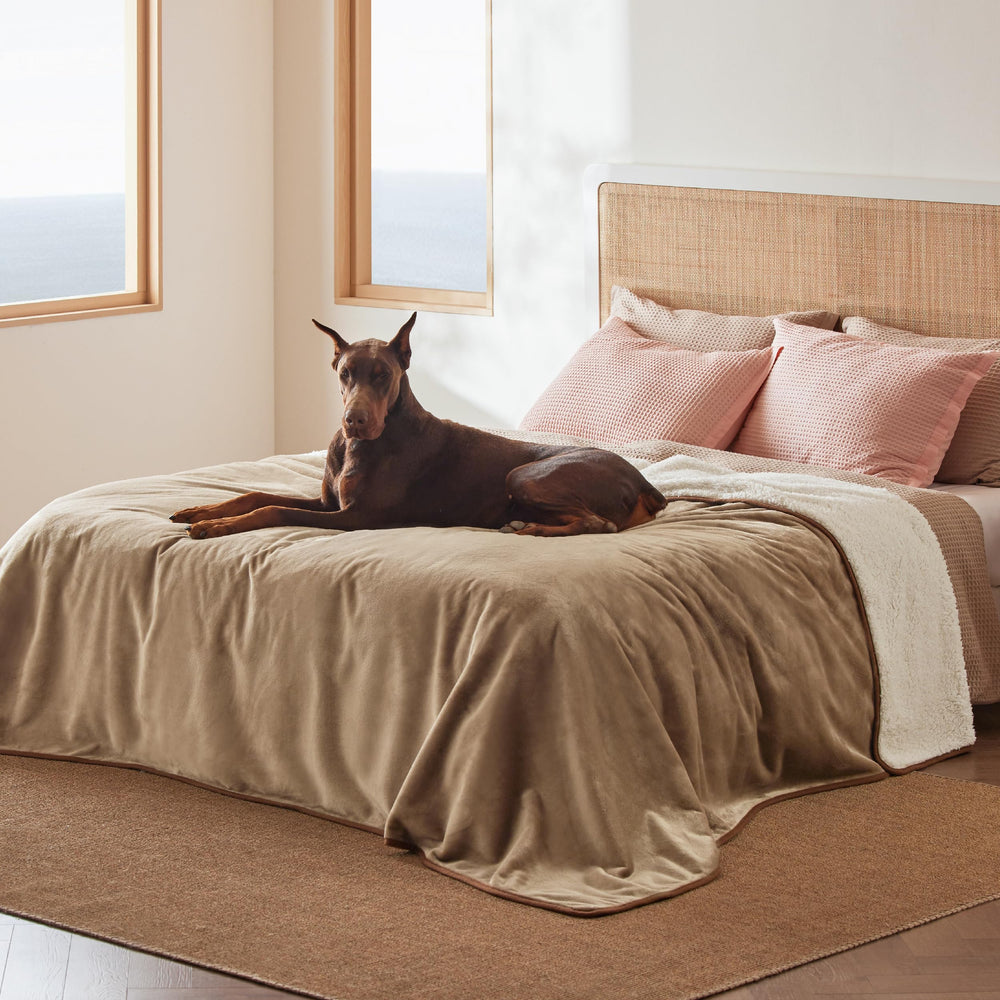 Bedsure waterproof blanket with Sherpa side for cozy warmth on camel furniture