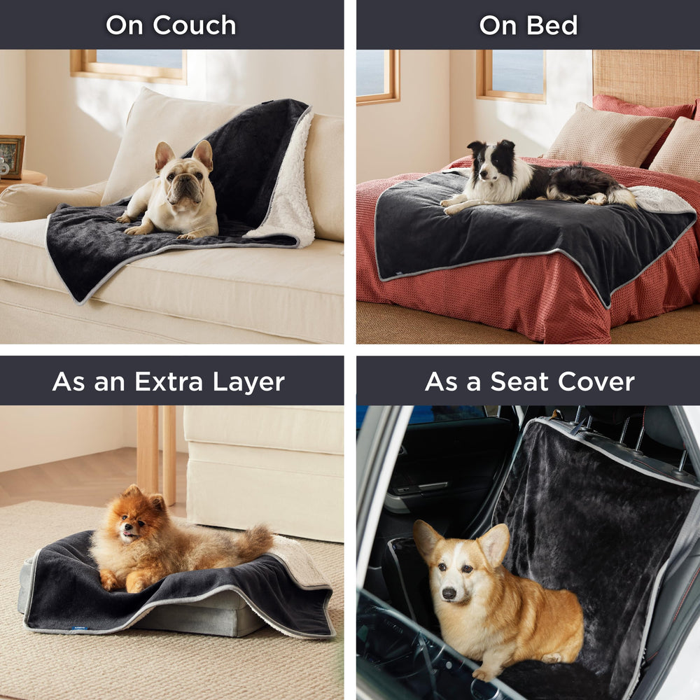 Bedsure blanket protecting couch from pet hair and spills