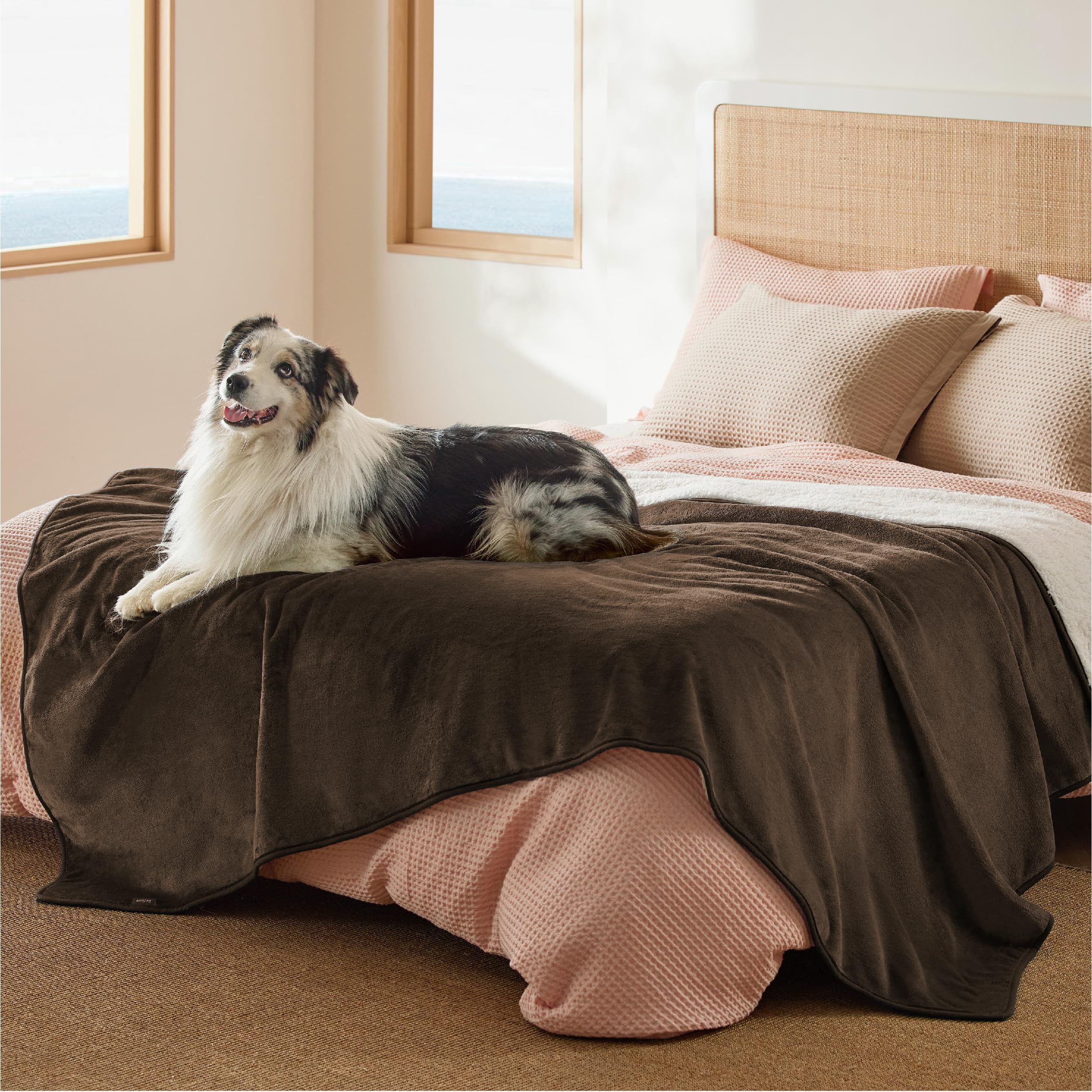 Bedsure blanket - sherpa-inside for warmth and pet comfort.