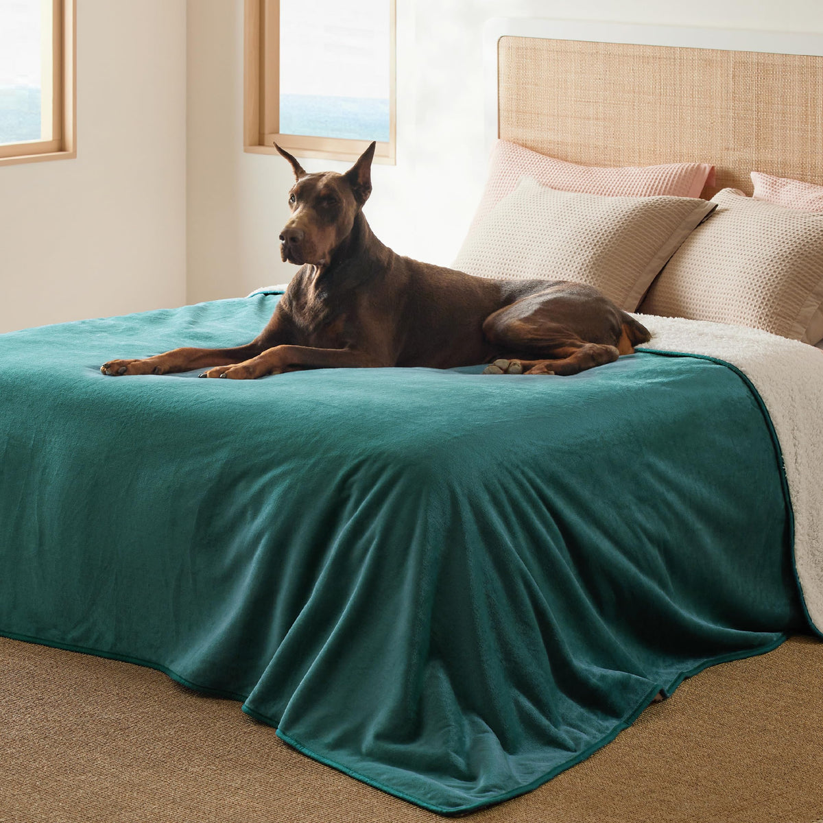 Bedsure waterproof blanket with Sherpa side, close-up, cozy warmth protects furniture.