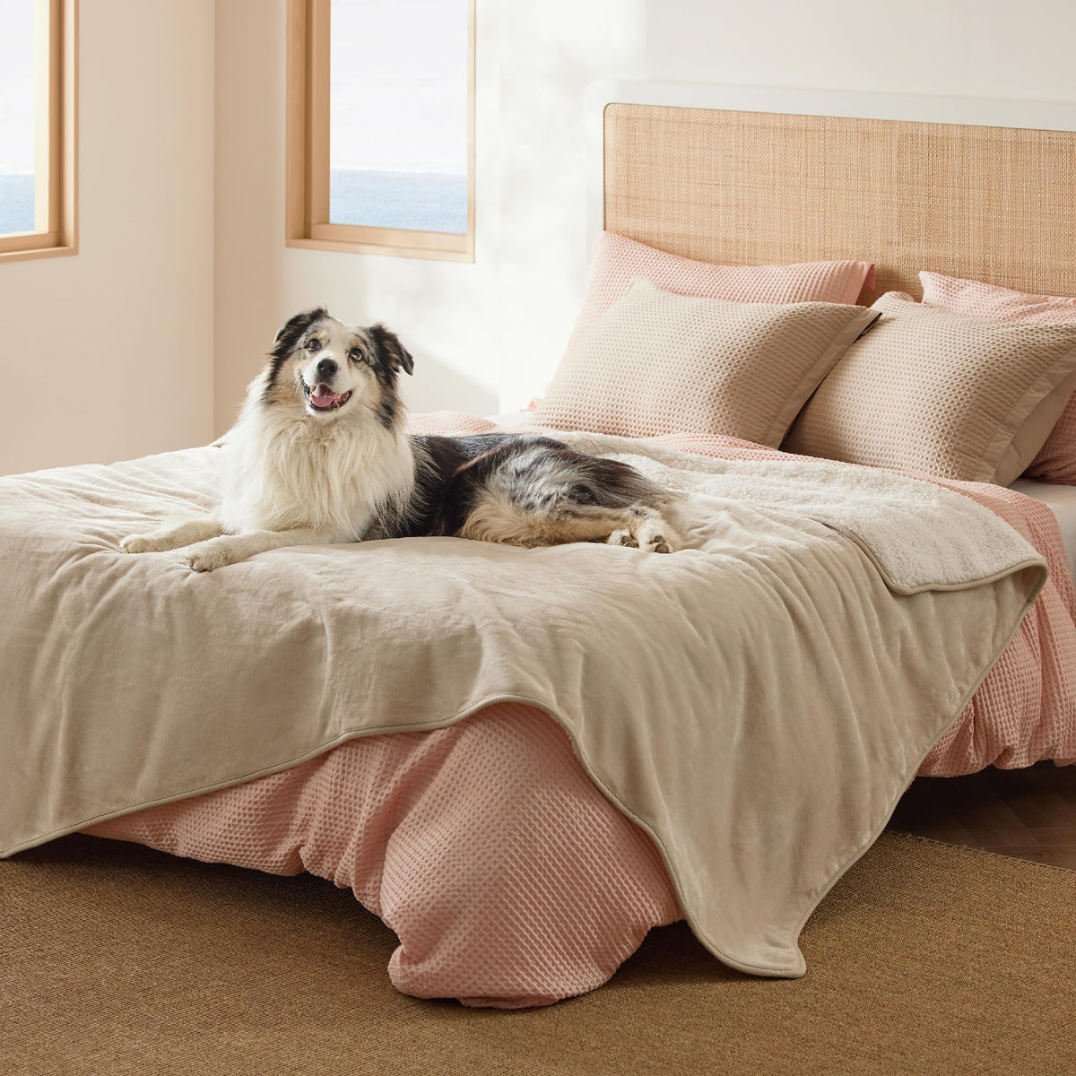Bedsure waterproof blanket, sherpa-side view, adds warm comfort for pets.