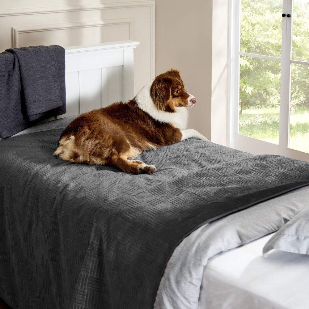 Bedsure versatile protection for dogs and cats on couches and beds.