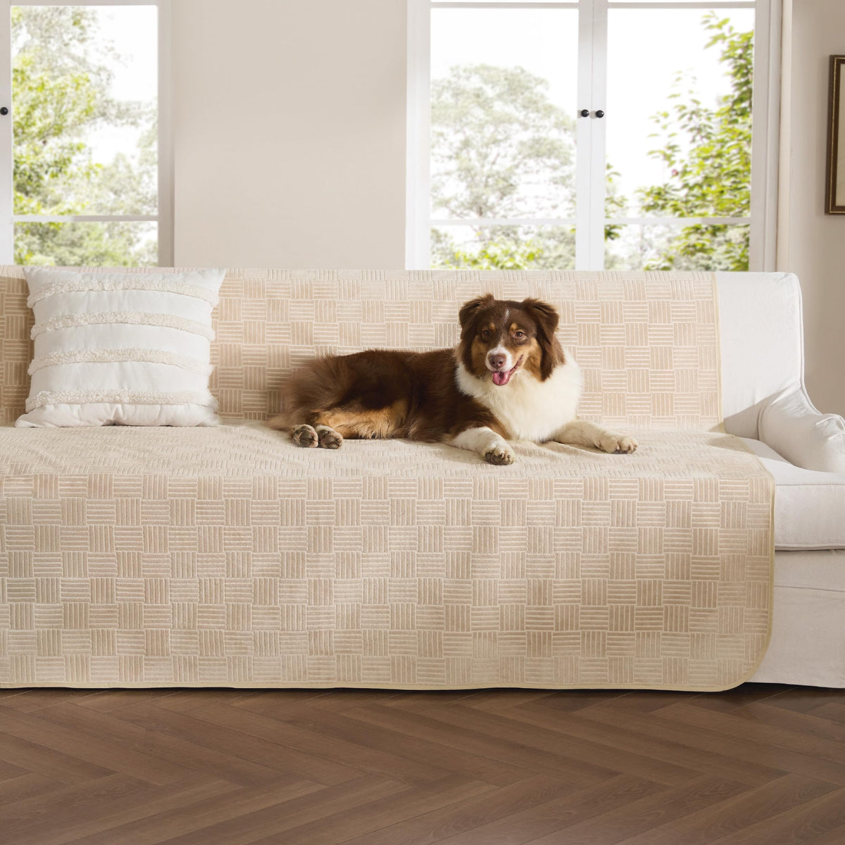 Bedsure waterproof couch cover for dogs protects sofa from spills and accidents.