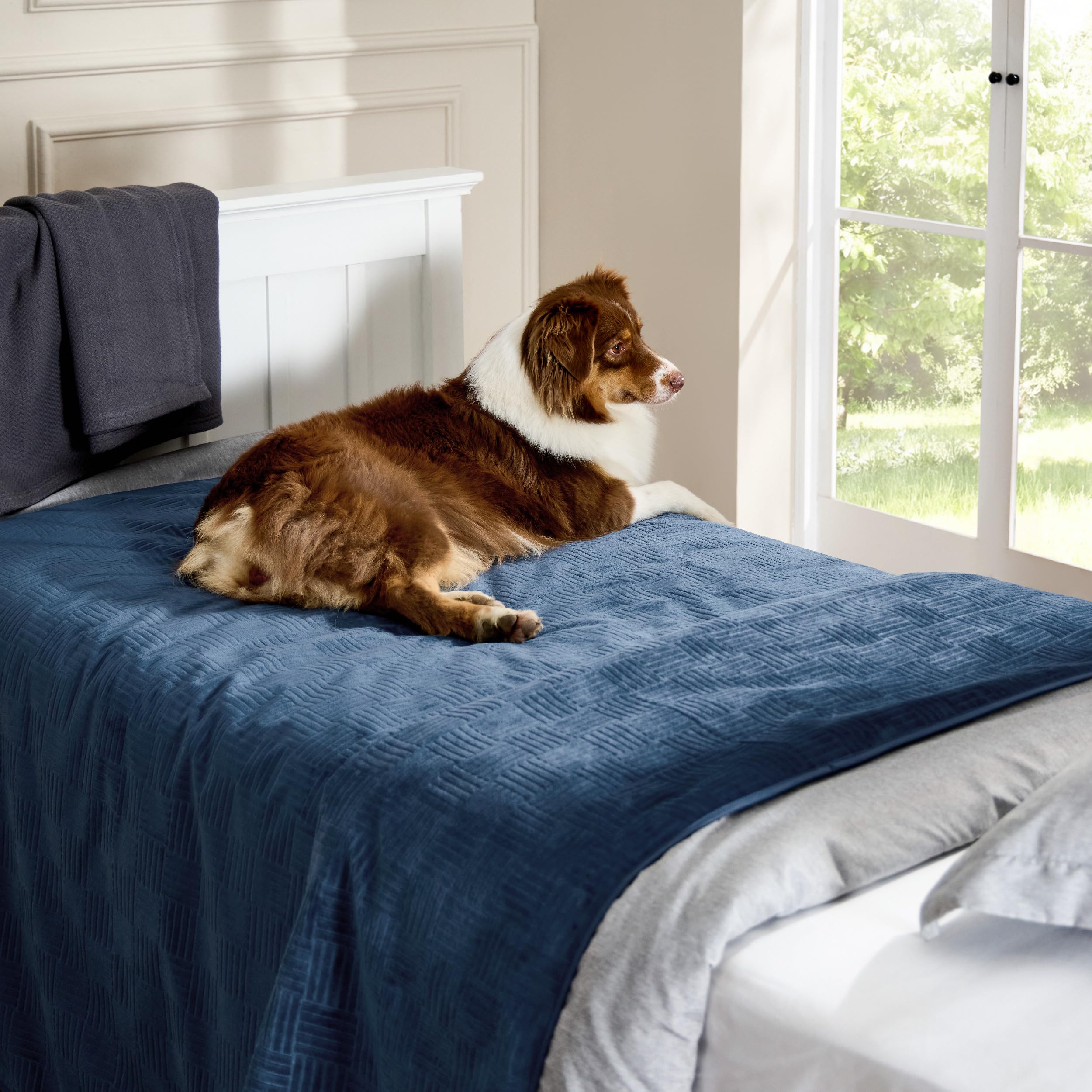 Bedsure pet spill protection cover in navy protecting surfaces