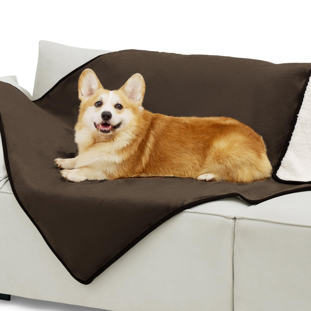 Bedsure couch protector blanket shielding furniture from spills and hair
