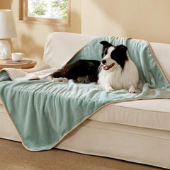 Bedsure waterproof dog blanket on couch protects furniture from spills