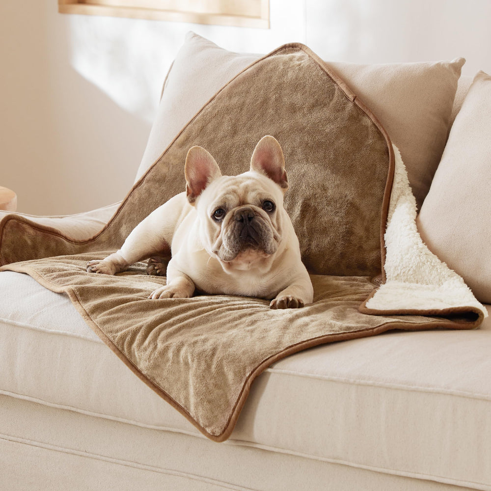 Bedsure waterproof dog blanket on couch protecting upholstery from spills