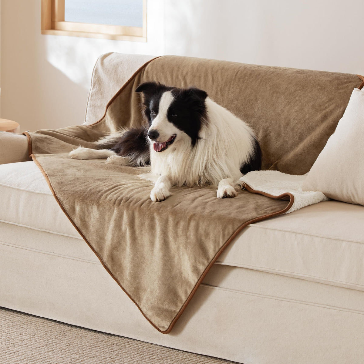 Bedsure waterproof dog blanket with central membrane protects furniture from spills.