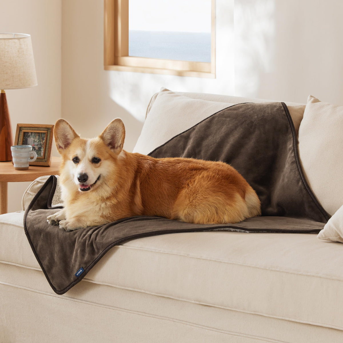 Bedsure waterproof dog blanket on the couch protecting upholstery and keeping pet comfortable