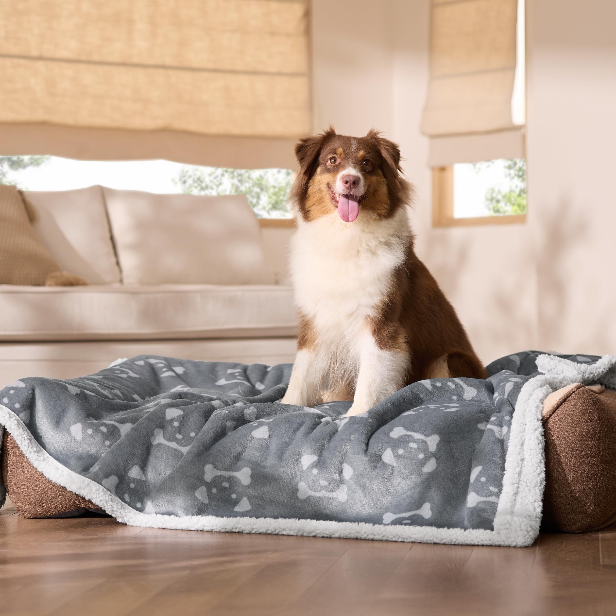 Bedsure large 50x60 blanket protecting bed and sofa from pets.