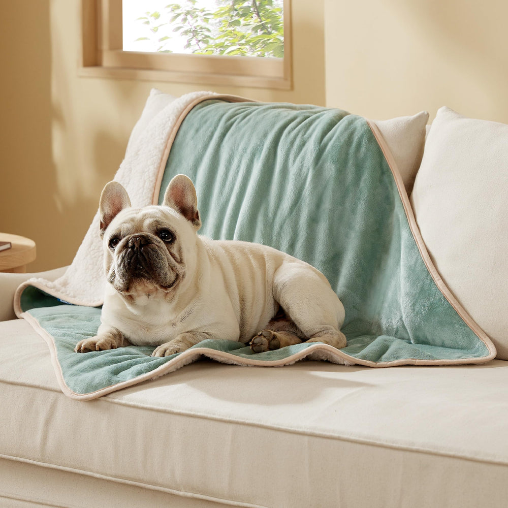 Bedsure waterproof dog blanket on sofa protects upholstery from spills and hair